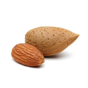 Importaco almond