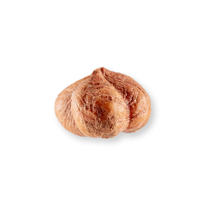  Hazelnut producers